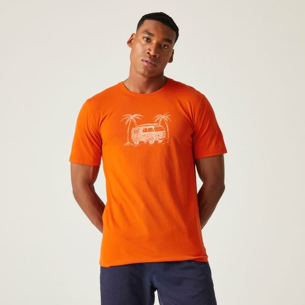 Herren-T-Shirt Regatta CLINE VIII orange