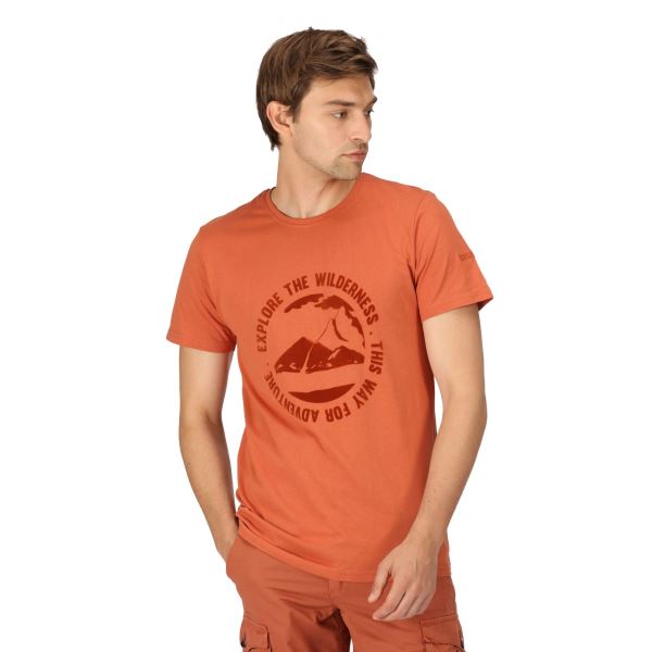 Herren-Baumwoll-T-Shirt Regatta CLINE VII orange
